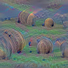 n07802026 hay